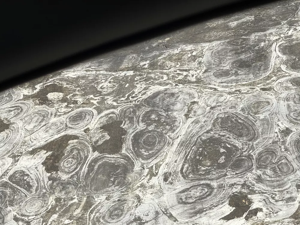 Hamburg-Stromatolites